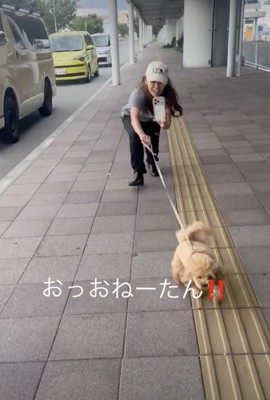 全力でお姉ちゃんの元へ！