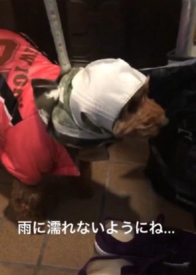 愛情たっぷりの即席レインスタイル♡