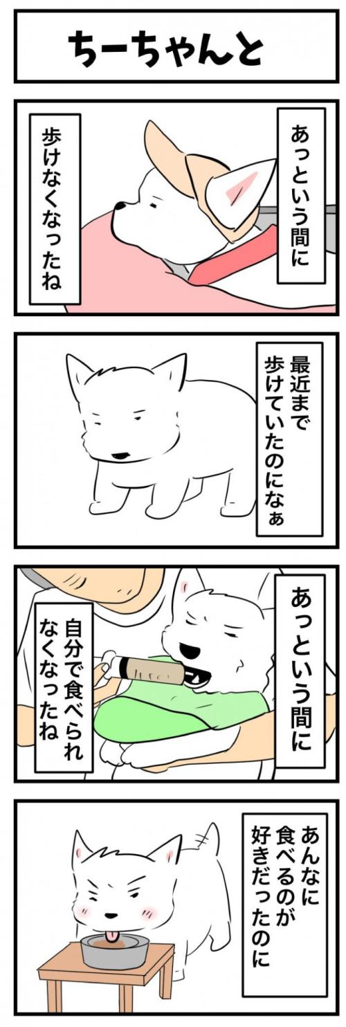 ちーちゃんですけどもっ【第369話】　1
