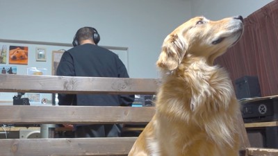 パパさんが作業に戻ると…