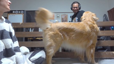 「僕、悪いことなんてしてないよ!」