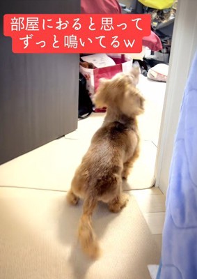 隣の部屋にいると勘違い