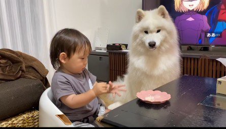 食事中の赤ちゃん