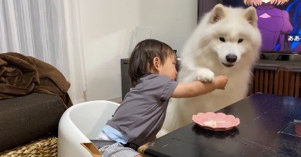 「バカにしないで！！」
