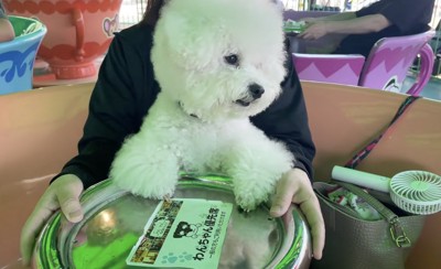 首を傾げて「？？」