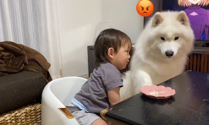 せっかくのうどんが…
