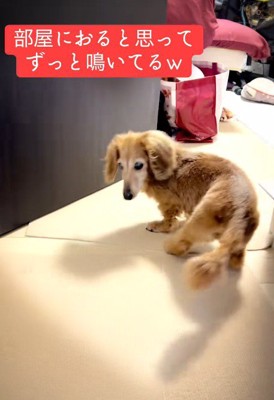 名前を呼んでみると…