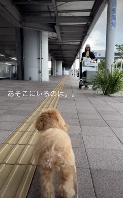 「おねーたんなの…？」