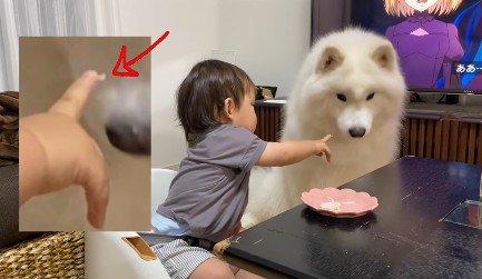 「これだけ？」