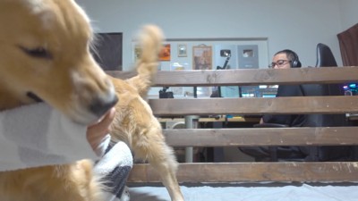 パパさんが振り向いたら…