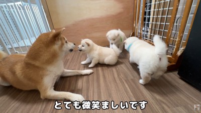 楽しそう♪