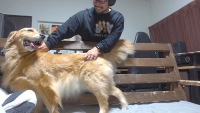 パパさんが見ている時はお利口さん♪