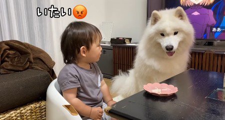 「ちゃんと謝って！！」