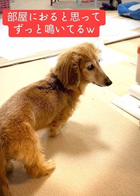 「え?」