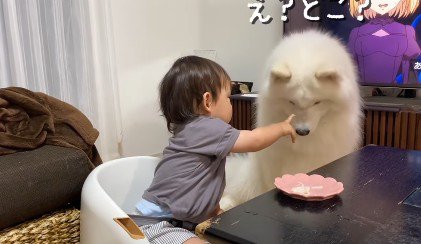 うどんをおすそわけ