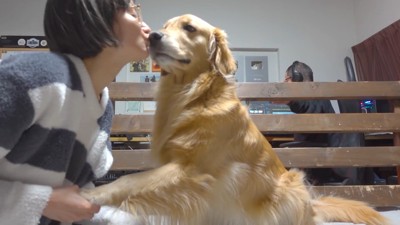 ママさんと仲直り♡