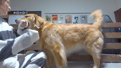ママさんの手をガブガブ