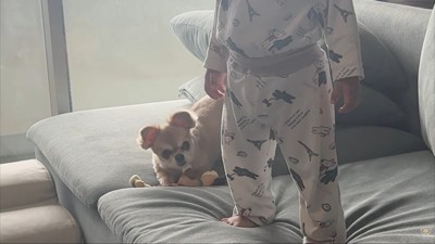 男の子はテレビに夢中でスルー