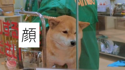 でもお顔は嫌そう（笑）