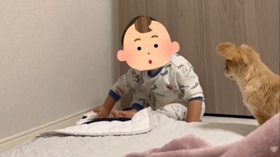 遊ぶ姿を見守っていたら…
