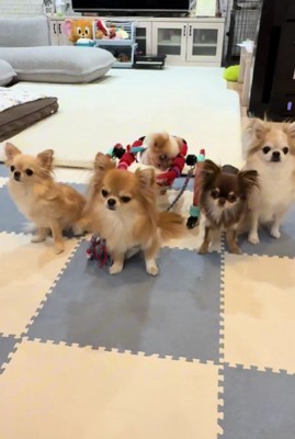 みんなでサポートするよ