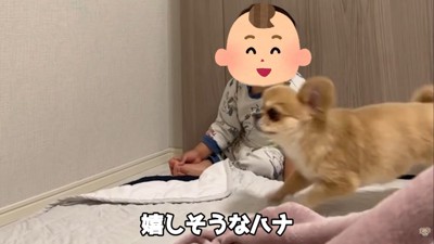 嬉しくてぴょんっ♪