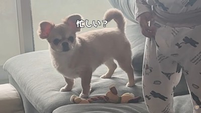 構ってもらえず、しょんぼり…