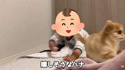 「追いかけっこしよう~!」