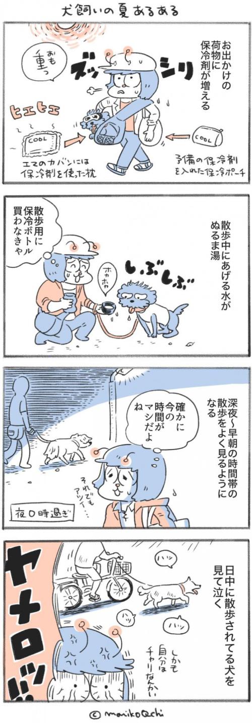 犬と暮らせば【第551話】
