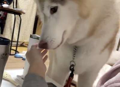 「大丈夫？？」