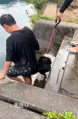 阻止しようとする犬