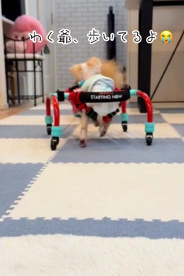 しっかりと足を動かします