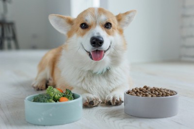 バランスのいい食事