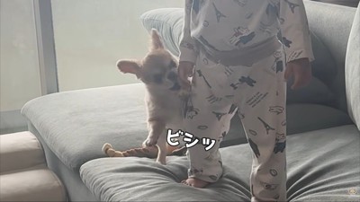 気づいてほしくてパンチ!