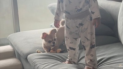 「遊ぼう!」とアピール中