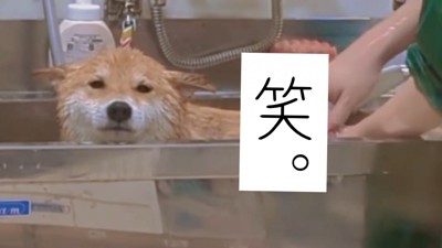 満更でもないご様子