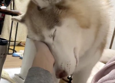 健気な姿にキュン
