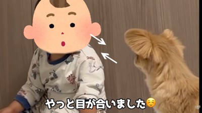 目が合いました!