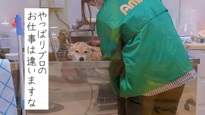 されるがままになっています