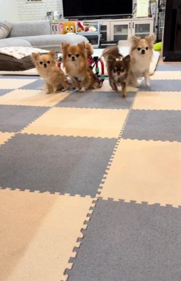 みんなで歩みを進めると…