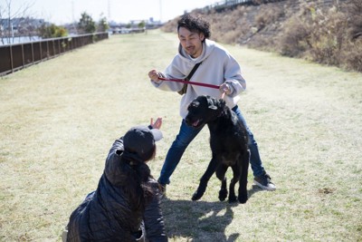 倒れた人に吠え掛かる犬