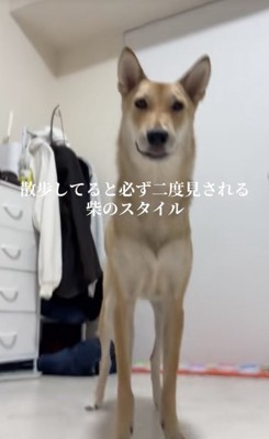スラリ