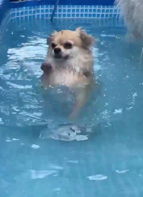 真剣そのもの