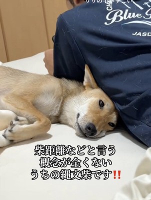 パパにピッタンコ