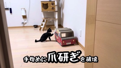 バーニーちゃんを真似て…