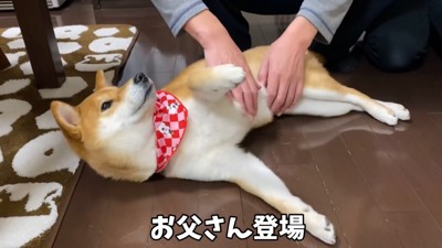 お父さんがナデナデしたら…