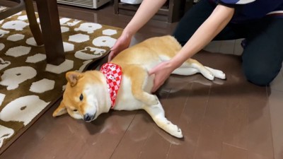 お兄ちゃんが抱っこしようとしたら…
