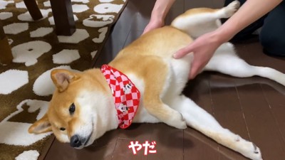 「すき焼きくれない人には抱っこさせない！」