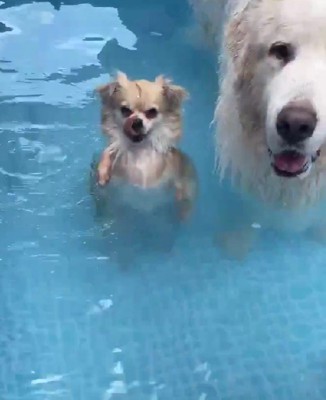 「普通に立てた」