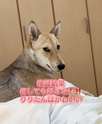 ギャップにキュン